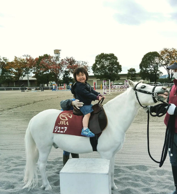 東京競馬場で乗馬体験